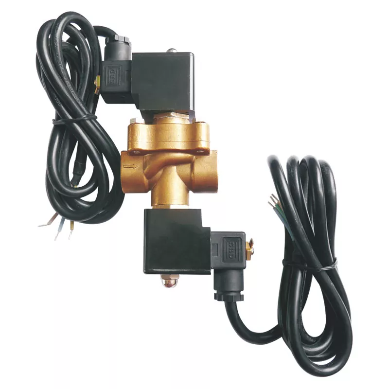 جریان دوگانه LPG Dispenser Valve Solenoid